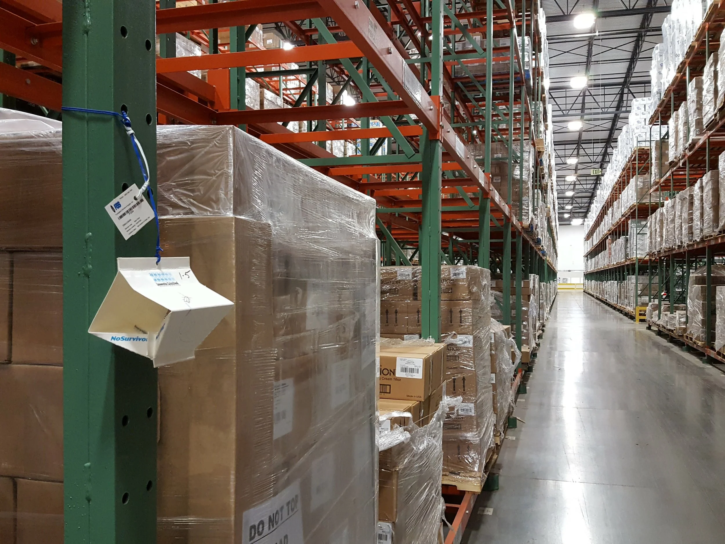 How to Get Rid of Warehouse Beetles